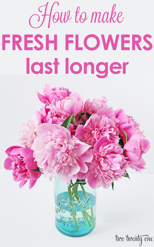 How to Make Cut Flowers Last Longer