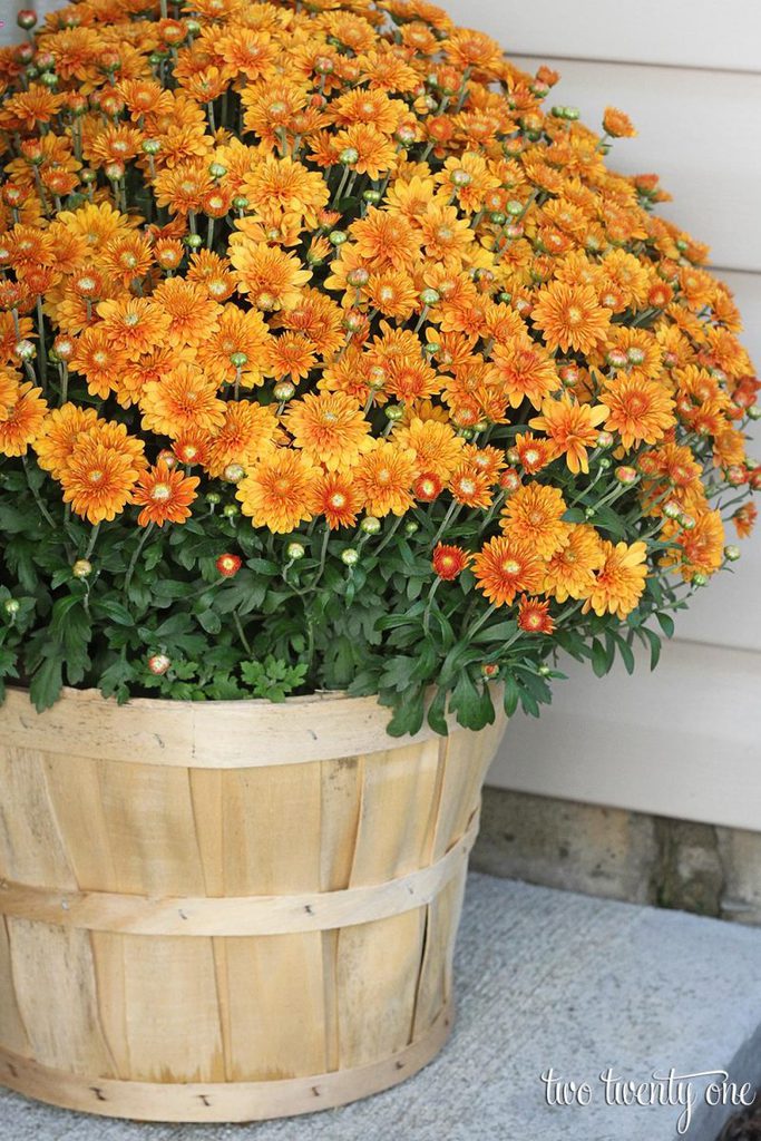 6 Fall Porch Decor Ideas