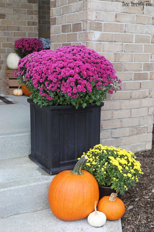 Fall Front Porch & A Little DIY