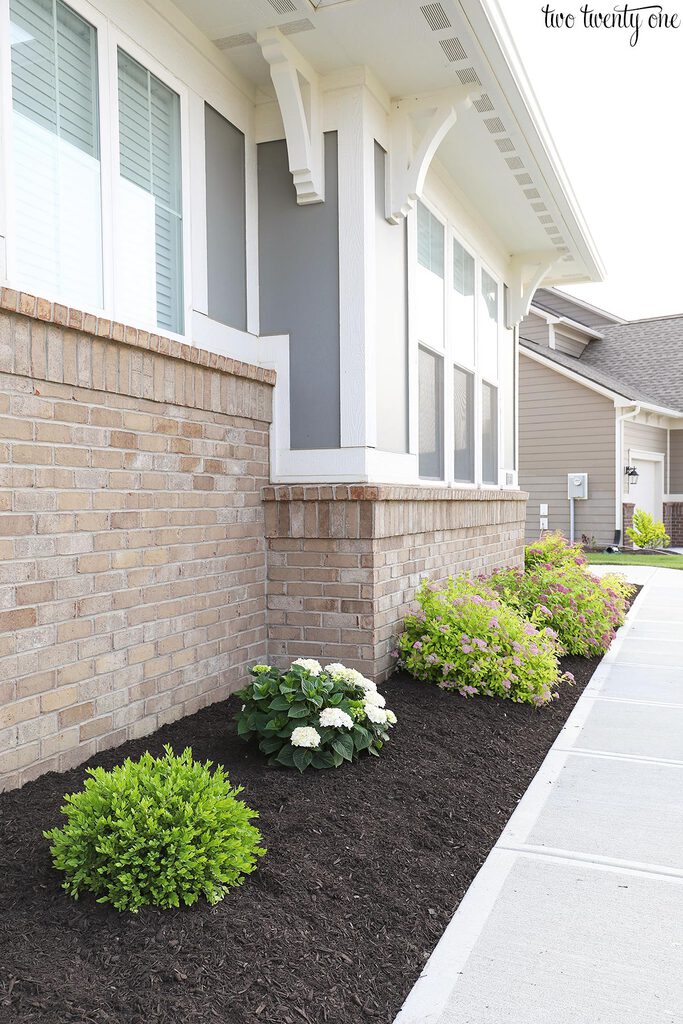 Front Yard Landscaping Refresh