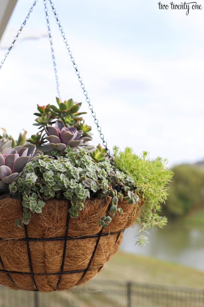 Fall Deck Decor