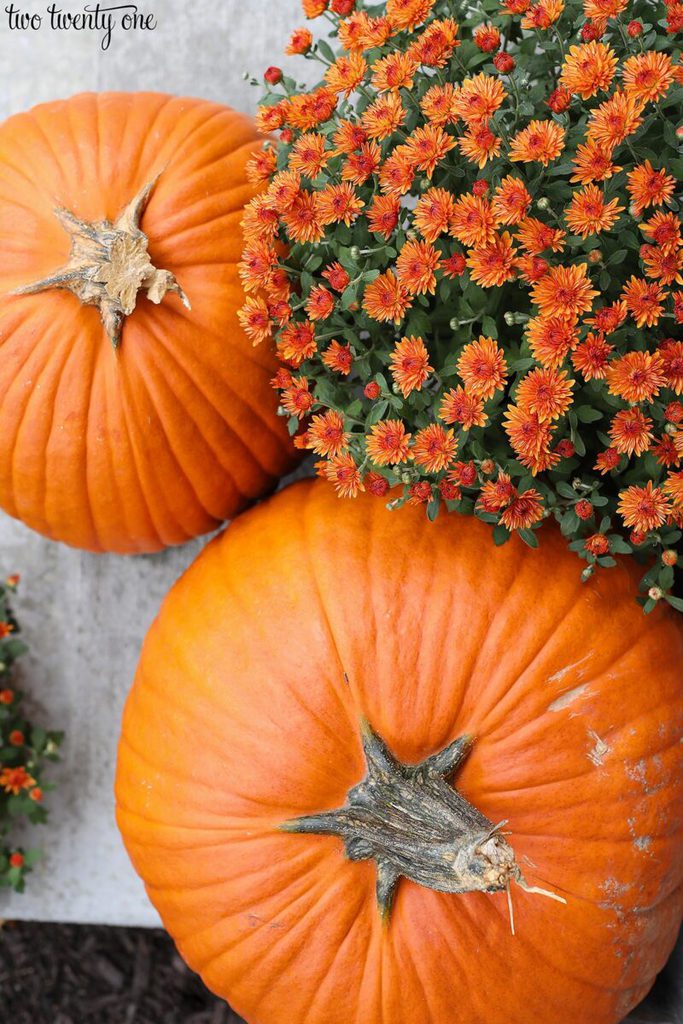 Fall Decorating Ideas