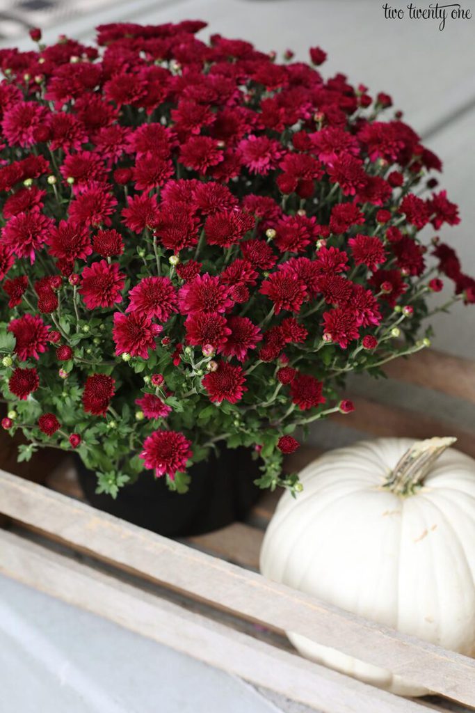 Cozy Fall Front Porch