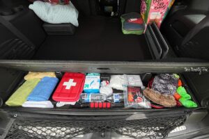 Clever Car Organization Hacks and Other Ideas for Busy Families