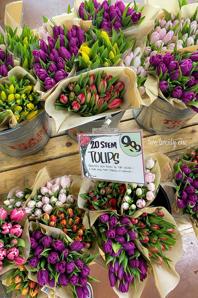 Trader Joe’s Flowers What to Buy (and What to Skip)